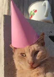 Sticker from Коти-бобри