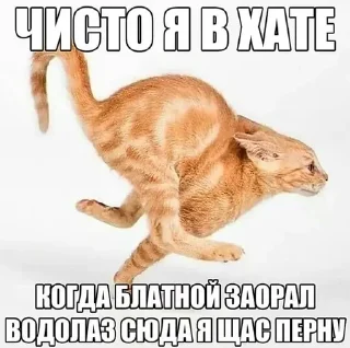 🌟 emoji пакетик экстернала Telegram sticker 15 of 119