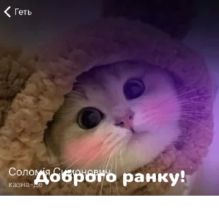 🐈 emoji @StickerEdit_bot :: @StickerEdit Telegram sticker 6 of 19