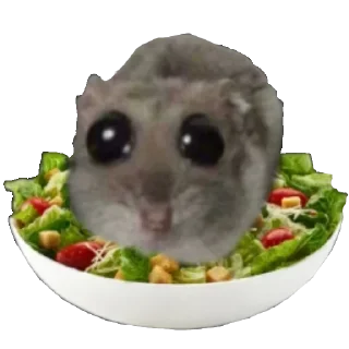 🥗 emoji Хомяцек @colored_emotions Telegram sticker 9 of 119