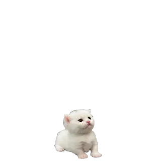 😶‍🌫️ emoji Микрочелы @normajumleu Telegram sticker 16 of 30