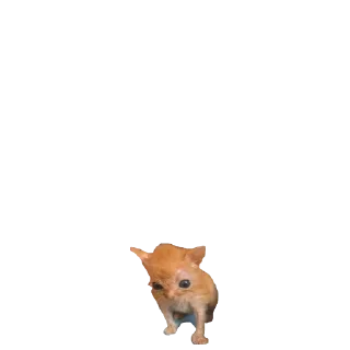 🤔 emoji Микрочелы @normajumleu Telegram sticker 23 of 30