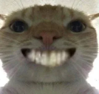😁 emoji Котикииии Telegram sticker 7 of 23