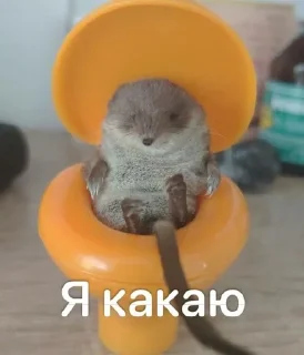 🌟 emoji Борис Лов Telegram sticker 11 of 25