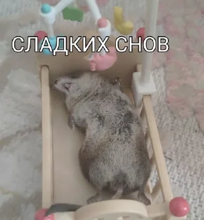 🌟 emoji Борис Лов Telegram sticker 15 of 25