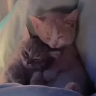 💞 emoji Люби меня такой какая я есть Telegram sticker 6 of 14