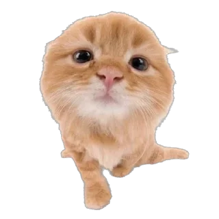 😶‍🌫️ emoji комфорт^ Telegram sticker 9 of 50