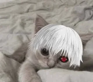 🙁 emoji Ghoul cat Telegram sticker 7 of 13