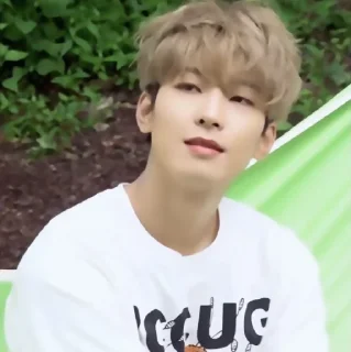 🥥 emoji ✦ ָ ֙⋆ wonwoo by @paradoxstickers Telegram sticker 17 of 25