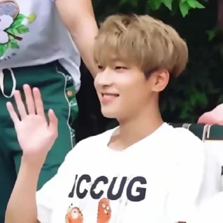 🥥 emoji ✦ ָ ֙⋆ wonwoo by @paradoxstickers Telegram sticker 18 of 25