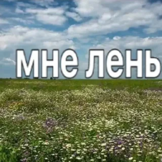 😌 emoji iба чоткi пак @Kakeichi Telegram sticker 5 of 120
