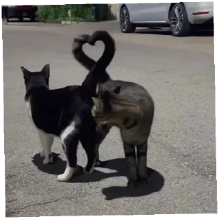 😄 emoji Я тебя люблю by: Crip1ii Telegram sticker 9 of 61