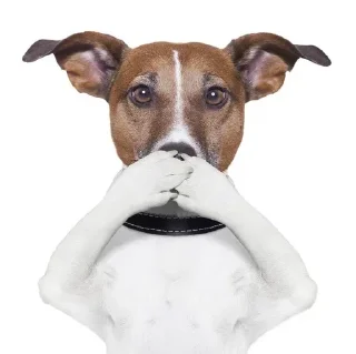 🙊 emoji собаки багамотовские Telegram sticker 14 of 95
