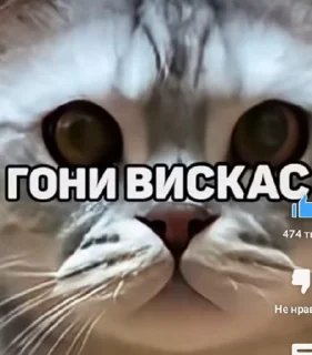 😡 emoji Стикерпак Гения Telegram sticker 9 of 18