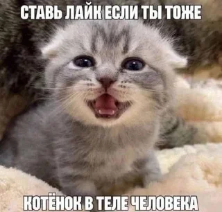 😇 emoji Смешно Telegram sticker 10 of 29
