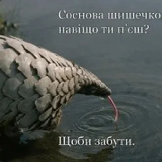 🫠 emoji Садок вишневий Telegram sticker 19 of 80