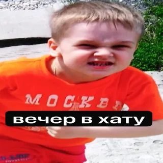 🫡 emoji чебурек Telegram sticker 18 of 44