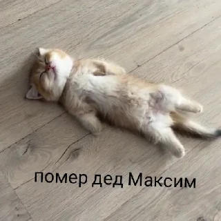 Sticker from Чебурек