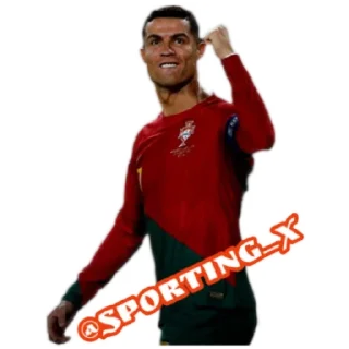 ⚽ emoji Sporting Telegram sticker 2 of 18