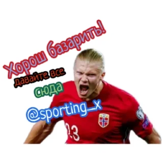 ⚽ emoji Sporting Telegram sticker 11 of 18