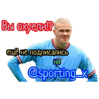 ⚽ emoji Sporting Telegram sticker 7 of 18