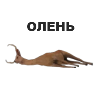 😂 emoji RADMIR STICKERS Telegram sticker 8 of 43