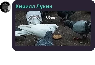 🍞 emoji 50В Telegram sticker 21 of 52