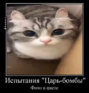💣 emoji Пламя-стики ККК❤️‍🔥(2) @Komaru Telegram sticker 3 of 28