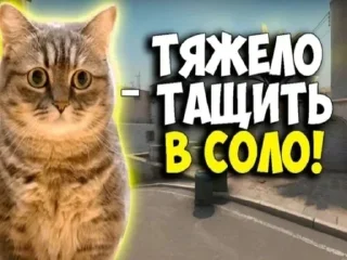 🌟 emoji Комаруния Telegram sticker 8 of 24