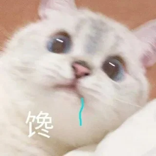 Sticker from 奶酪收藏