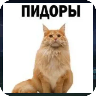 🐱 emoji Ну я или не я Telegram sticker 11 of 16