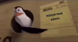 🥥 emoji забавный стикерпак Telegram sticker 16 of 28
