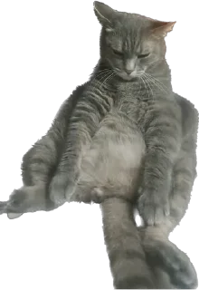 😴 emoji Ебанько Telegram sticker 5 of 41