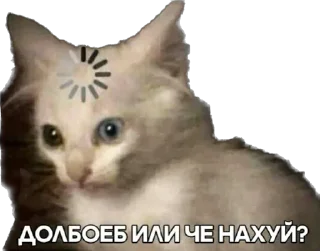 👆 emoji Ебанько Telegram sticker 9 of 41