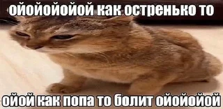 Sticker from реййчэл еще говно