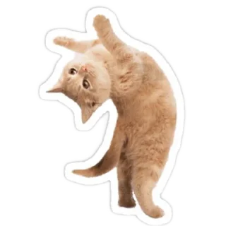 👍 emoji Данон Telegram sticker 15 of 95