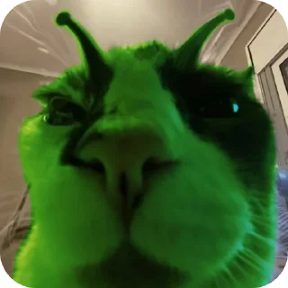 🐱 emoji Ein Außerirdischer im Geiste Telegram sticker 19 of 55