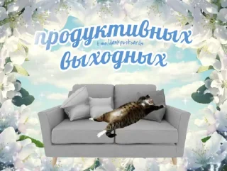 🛋 emoji Ебанные открытки Telegram sticker 11 of 108