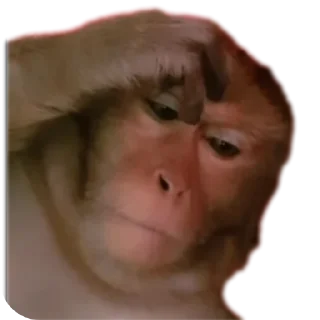 🤲 emoji Пупсик Telegram sticker 10 of 31