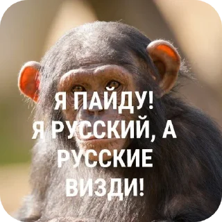 🚶‍♂️ emoji Обезьяны~Бебезяны Telegram sticker 16 of 16