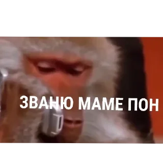 📱 emoji Обезьяны~Бебезяны Telegram sticker 11 of 16
