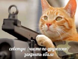 🔫 emoji Шутки за 299 Telegram sticker 11 of 78