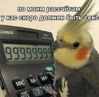 🗿 emoji Хз что за стикеры Telegram sticker 21 of 115