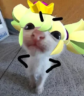 🌟 emoji Менди кенди ееее Telegram sticker 16 of 79