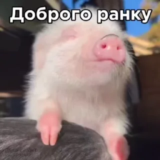 🌟 emoji Менди кенди ееее Telegram sticker 23 of 79