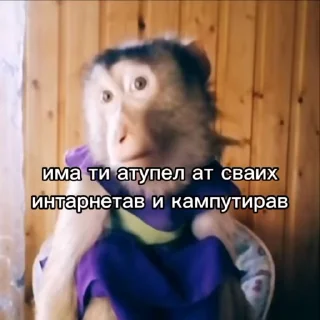 Sticker from Неповторими брадки