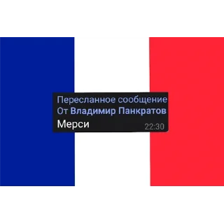 🇫🇷 emoji Орлы Опейкина Telegram sticker 24 of 27