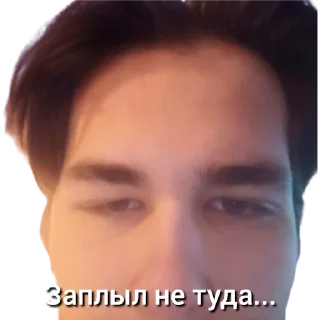 🌊 emoji Орлы Опейкина Telegram sticker 11 of 27