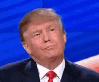 🌟 emoji Трамп Telegram sticker 24 of 43