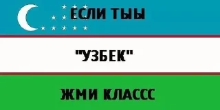 🇺🇿 emoji Uzbekiya Telegram sticker 9 of 15